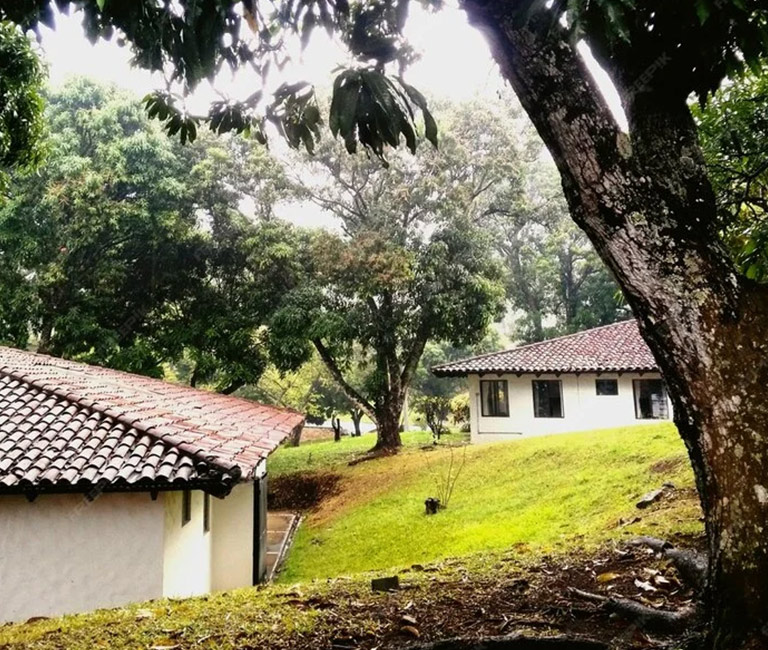 Establecimiento de servidumbres